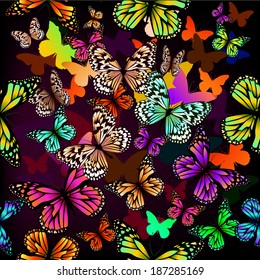 Seamless background colored butterflies. Vector