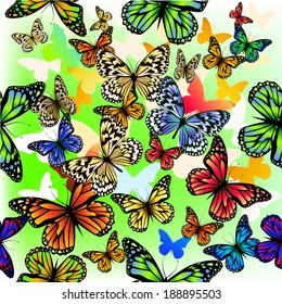 Seamless background colored butterflies. Vector 