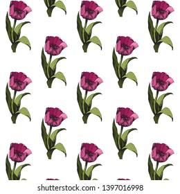 Seamless background with colored pink tulips. Vector illustration.Floral seamless background with colorful tulips. Spring mood.The texture of the fabric, the design of gift packs. Vector graphic