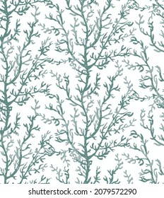 Seamless background with colorful illustration of herbs, plants. Beautiful seamless vector tropical pattern with green corals. Perfect for wallpapers, web page backgrounds,