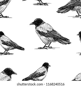 Seamless background of crows sketches