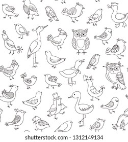 Seamless background with cute cartoon contour patterned doodle birds of different type on white. Vector background.