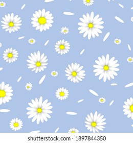 Seamless background with daisies of different sizes. White petals on a blue background. The sky, a summer sunny day. Spring bouquet