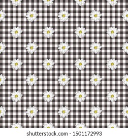 Seamless background with daisy flowers on plaid background. Vector illustration. Floral background