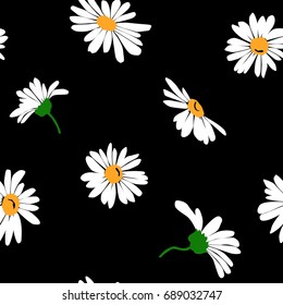 Seamless background with daisy flowers on black. Vector illustration.