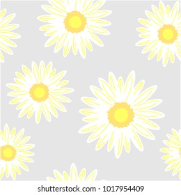 Seamless background with daisy flowers. Vector graphic illustration.