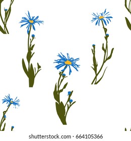 Seamless background daisy. Vector 