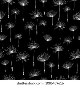 Seamless background of the dandelions seeds