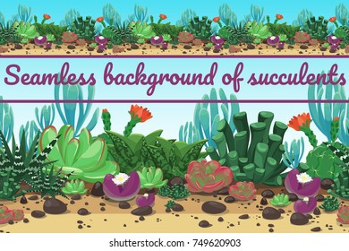 Seamless background from different succulents isolated on a blue background.