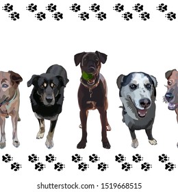 Seamless background with dogs. Border with dog footprints. Vector, EPS10