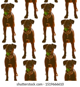 Seamless background with dogs. Vector, EPS10