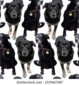 Seamless background with dogs. Vector, EPS10