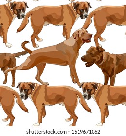 Seamless background with dogs. Vector, EPS10
