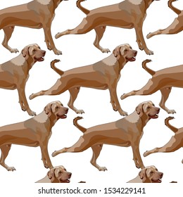 Seamless background with dogs. Vector, EPS10