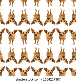 Seamless background with dogs. Vector, EPS10