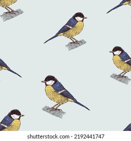 Seamless background of drawn bird titmouse