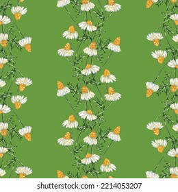 Seamless background of drawn camomile in rows