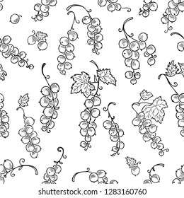 Seamless background of the drawn currant