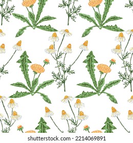 Fondo incomparable de las flores silvestres dibujadas de los dientes de león y de la camomila