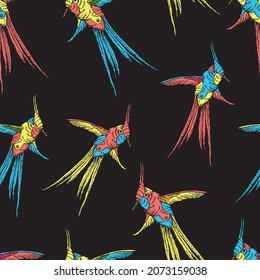 Seamless background of drawn flying colorful hummingbirds