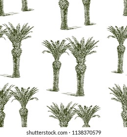 Seamless background of drawn palm trees