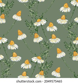Fondo incomparable de flores gamuzas silvestres dibujadas