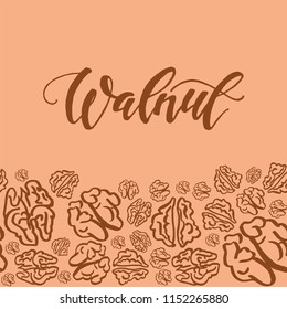 Seamless background with dried walnuts. Cute doodle illustration.