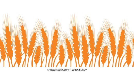 Seamless background with ears of wheat. Vector illustration.