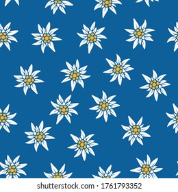 Seamless background with Edelweiss. Edelweiss in a chaotic order on a blue background. Symbol of the Alpine mountains. European Royal flower. Vector illustration for design and web.