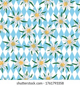 Seamless background with Edelweiss. Edelweiss with green leaves on the background of the Bavarian flag. Symbol of the Alpine mountains. European Royal flower. Vector illustration for design and web.