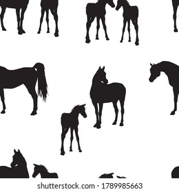 seamless background of figures of Arabian horses, mares with foal and stallion on white background