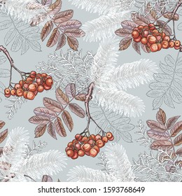 Seamless background with Fir branches, thuja, Rowan berries. Decorative greeting card Happy New year and Christmas . Advertising for trade and sale