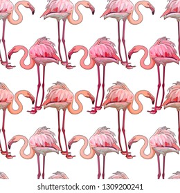 Seamless background with flamingos. Vector illustration, EPS 10