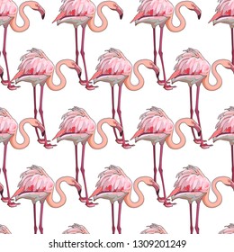 Seamless background with flamingos. Vector illustration, EPS 10