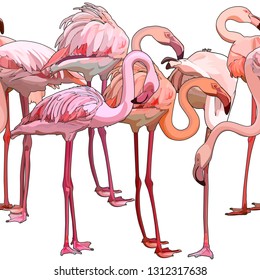 Seamless background with flamingos. Vector illustration, EPS 10