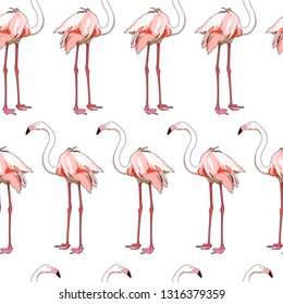 Seamless background with flamingos. Vector illustration, EPS 10