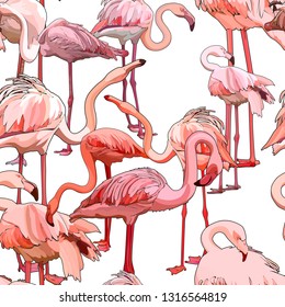 Seamless background with flamingos. Vector illustration, EPS 10