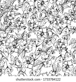 Seamless background with flower of apple tree. manual graphics. Coloring book for children and adults. Flowering tree, fruit buds. Pattern for textile decor and design, wallpaper, relaxation, meditati