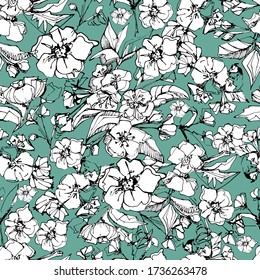 Seamless background with flower of apple tree. manual graphics. Blossoming tree of peach, cherry, pear, fruit buds. Stylish pattern for textiles, wallpaper, packaging. stock graphics.