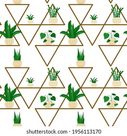 Seamless background with flowers on the shelf. Indoor plants in pots in the house. Houseplants on the shelves. Growing flowers. Decor elements, vector.