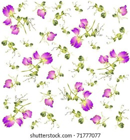 Seamless background from a flowers ornament, fashionable modern wallpaper or textile.Fragrant pea.