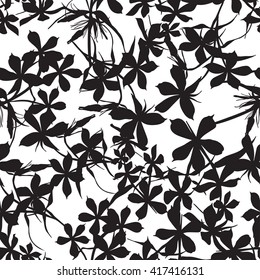 Seamless background with flowes of beautiful hand-drawn silhouette  phlox in black and white colors. Vector illustration