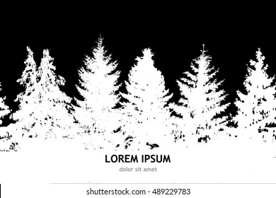 Seamless background forest with fir trees. Vector
