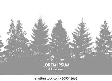 Seamless background forest with fir trees. Vector