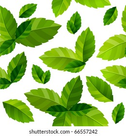 Seamless background with fresh green mint leaves