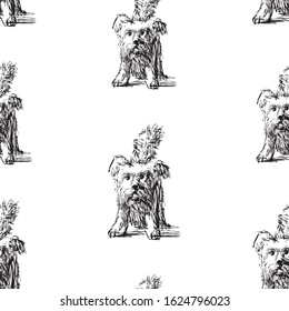 Seamless background of funny shaggy lap dog sketches