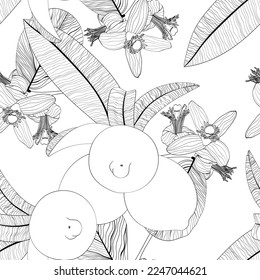 Seamless background from a garden with tropical lemon fruits and leaves. Background design for packaging, paper, textile, eco products.