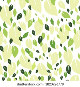 Seamless background with a gentle pattern of green leaves on a white background. Stylish wallpaper with colorful leaves of different sizes. Spring foliage pattern.