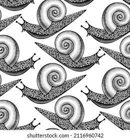 Seamless background with grape snails on a white background. Engraving seamless background.