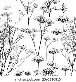Seamless background grass dill with seeds. . Hand drawing. Not AI, Vector illustration.